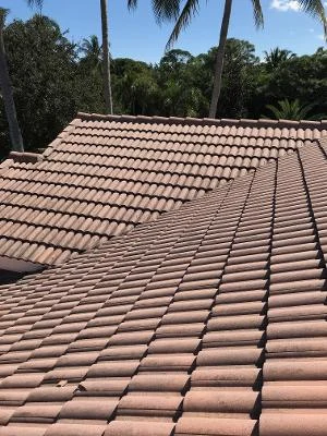 Before and after House Washing and Soft Washing